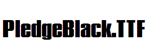 PledgeBlack