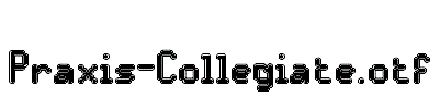 Praxis-Collegiate
