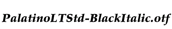 PalatinoLTStd-BlackItalic