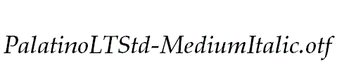 PalatinoLTStd-MediumItalic