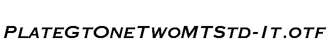 PlateGtOneTwoMTStd-It
