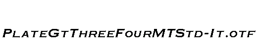 PlateGtThreeFourMTStd-It