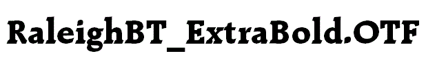 RaleighBT_ExtraBold