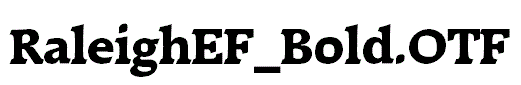RaleighEF_Bold