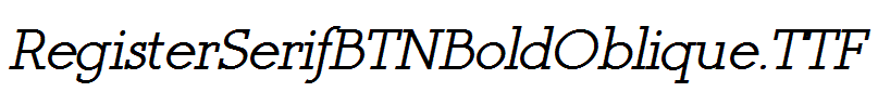 RegisterSerifBTNBoldOblique