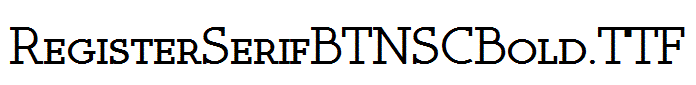 RegisterSerifBTNSCBold