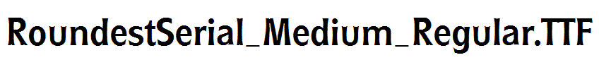 RoundestSerial_Medium_Regular