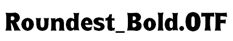 Roundest_Bold