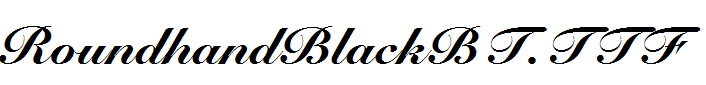 RoundhandBlackBT