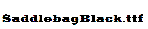 SaddlebagBlack