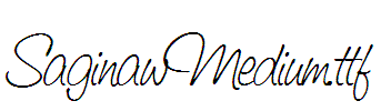 SaginawMedium
