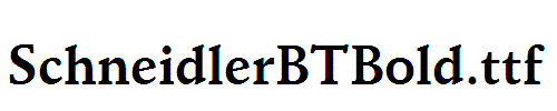 SchneidlerBTBold