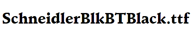 SchneidlerBlkBTBlack