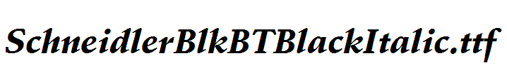 SchneidlerBlkBTBlackItalic