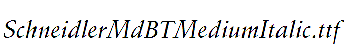 SchneidlerMdBTMediumItalic