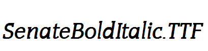 SenateBoldItalic