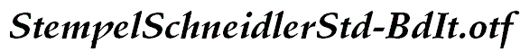 StempelSchneidlerStd-BdIt