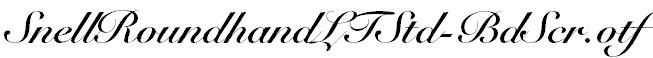 SnellRoundhandLTStd-BdScr