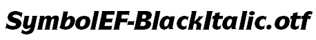 SymbolEF-BlackItalic