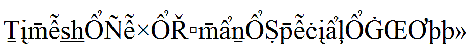 Times-New-Roman-Special-G2