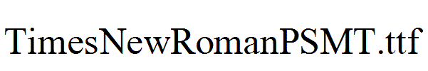 TimesNewRomanPSMT