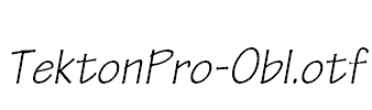 TektonPro-Obl