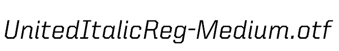 UnitedItalicReg-Medium