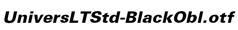 UniversLTStd-BlackObl