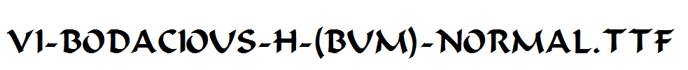 VI-Bodacious-H-(Bum)-Normal