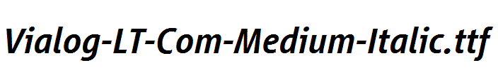 Vialog-LT-Com-Medium-Italic