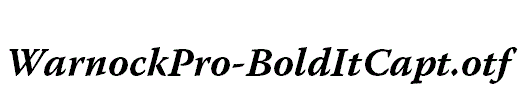 WarnockPro-BoldItCapt