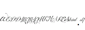 WEDDINGNIGHTMAREStrial