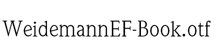 WeidemannEF-Book