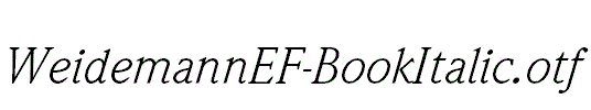 WeidemannEF-BookItalic