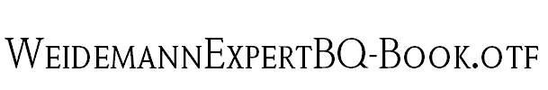 WeidemannExpertBQ-Book