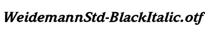 WeidemannStd-BlackItalic