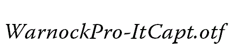 WarnockPro-ItCapt