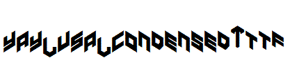 YAY_USA_Condensed